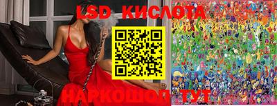 гидра Дмитров