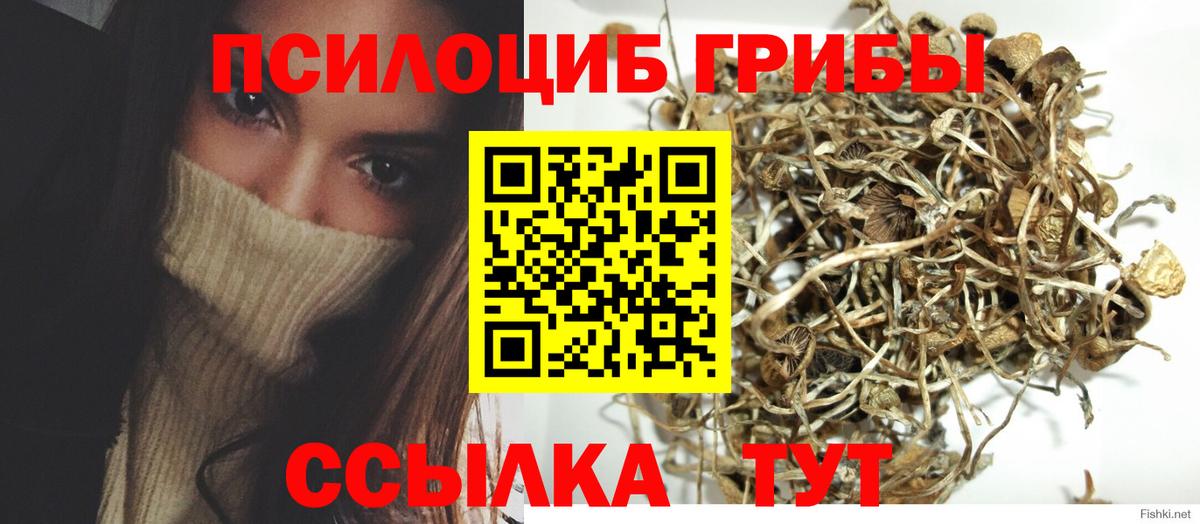 Псилоцибиновые грибы Cubensis  Вход с VPN  Ачинск 